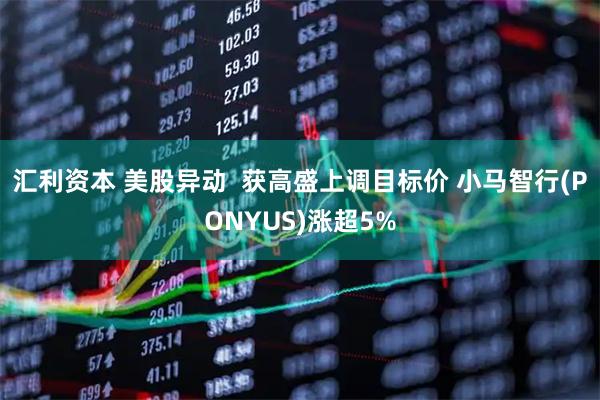 汇利资本 美股异动  获高盛上调目标价 小马智行(PONYUS)涨超5%