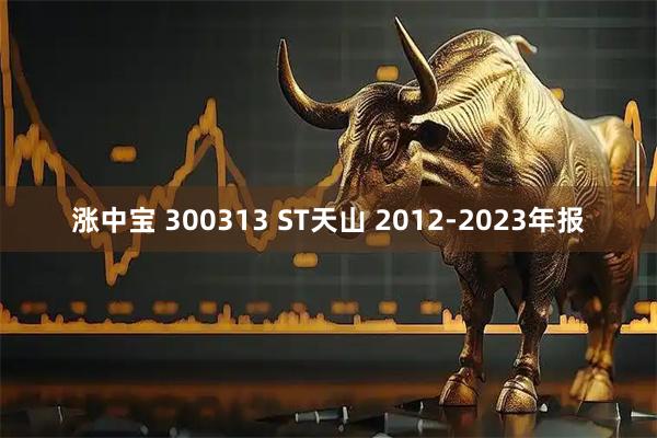 涨中宝 300313 ST天山 2012-2023年报
