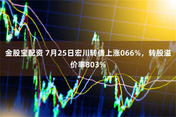 金股宝配资 7月25日宏川转债上涨066%，转股溢价率803%